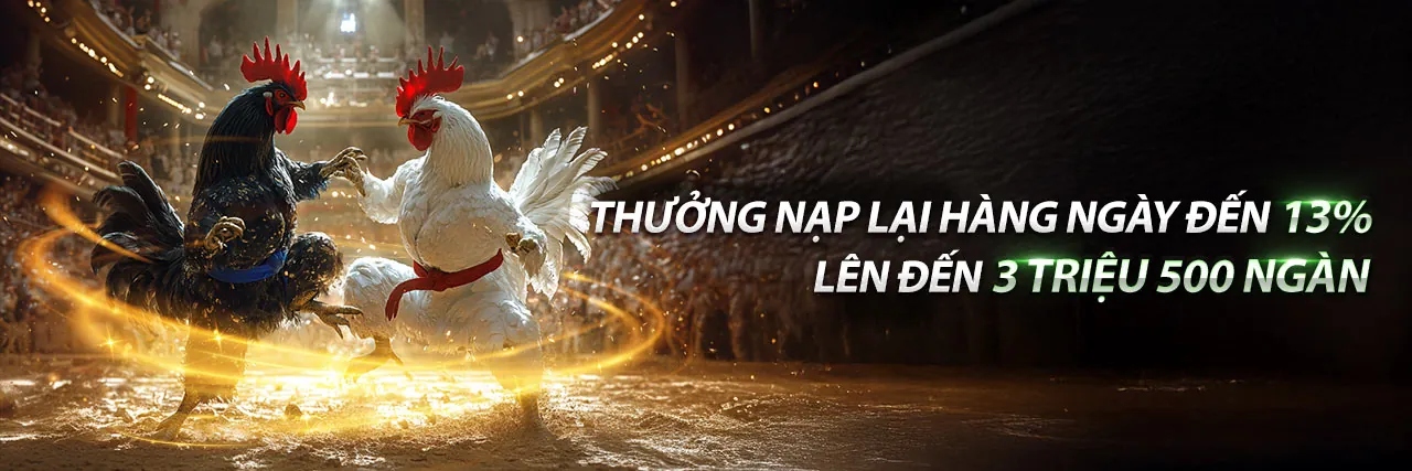 Đá Gà Thomo Phương Tóc Dài